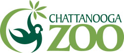 Chattanooga summer camps