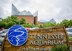 Chattanooga summer camps