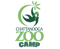 Chattanooga summer camps